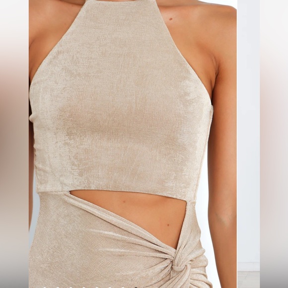 Petal & Pup Dress - Picture 4 of 4